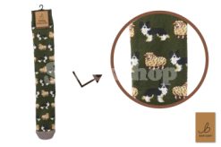 BARTLEBY? FUNKY WELLY SOCK 6 - 11 SHEEP & DOG