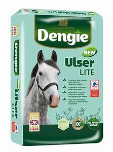 DENGIE ULSER LITE 20kg