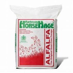 HORSEHAGE LUCERNE alfalfa