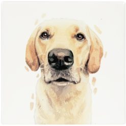 Golden Labrador Coaster, 10cm