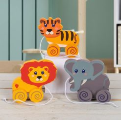 Let's Learn Pull Along Zoo 3a