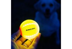 Rechargable LED Ball Yellow (Flashing)