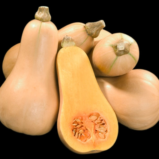 SQUASH WINTER BUTTERNUT HUNTER F1 SEEDS