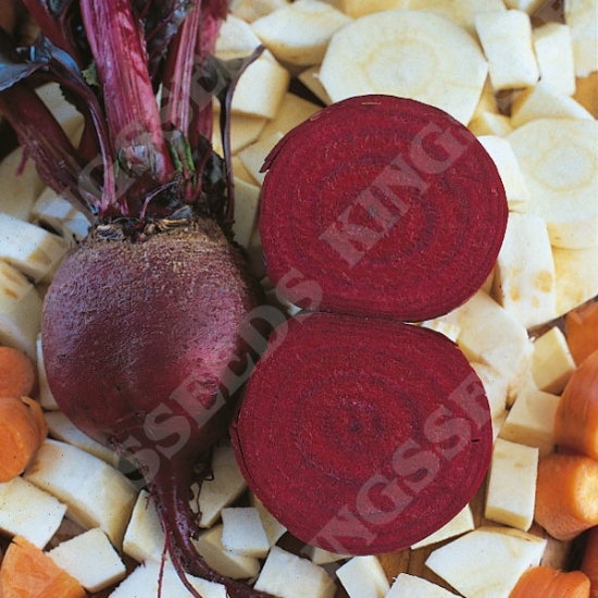 BEETROOT DETROIT 2 SEEDS