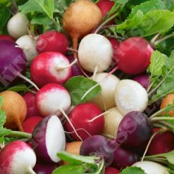 RADISH MIXED SEEDS