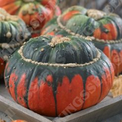 SQUASH WINTER TURKS TURBAN SEEDS