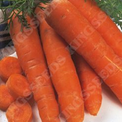 CARROT AUTUMN KING  2 RHS AGM SEEDS