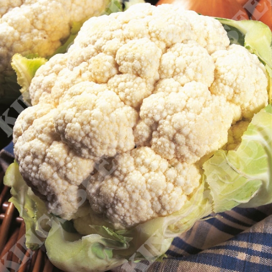 CAULIFLOWER ALL THE YEAR ROUND SEEDS