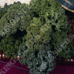 KALE DWARF GREEN CURLED SEEDS
