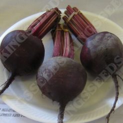BEETROOT RED ACE F1 SEEDS