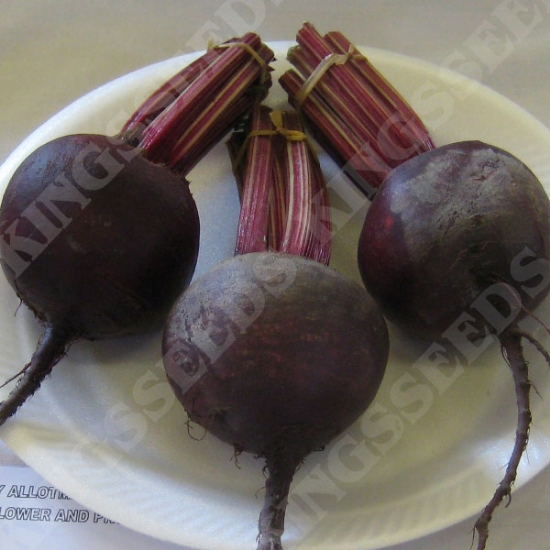 BEETROOT RED ACE F1 SEEDS