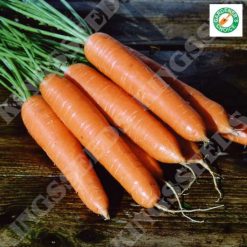 CARROT ESKIMO F1 RHS AGM SEEDS