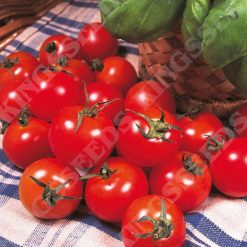 TOMATO GARDENERS DELIGHT RHS AGM SEEDS