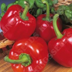 PEPPER SWEET BEAUTY BELL F1 SEEDS