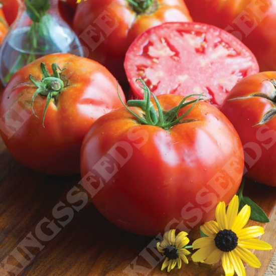 TOMATO BIG DADDY SEEDS