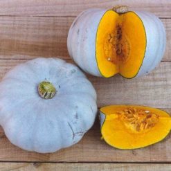 SQUASH WINTER CROWN PRINCE F1 RHS AGM SEED