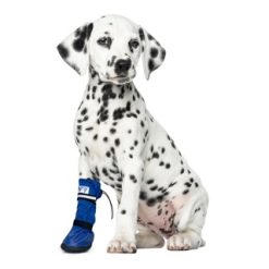Medical PetS Boot Medium