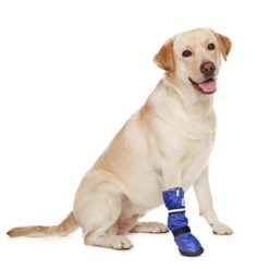 Medical Pets Boot Large