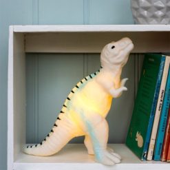 Childs Dinosaur Night Light, 20cm
