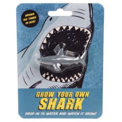 Grow Your Own Shark Kit , 12cm
