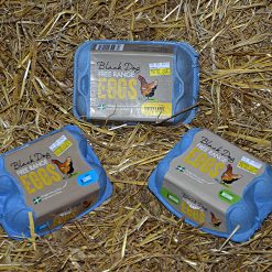 Blackdog LARGE eggs x6