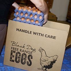 Blackdog Medium egg tray 30 eggs