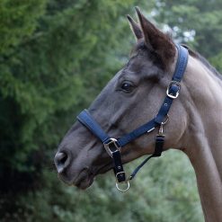 ProReaction Transform Head Collar by Hy Equestrian - Pony - Navy
