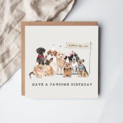 Have a Pawsome Birthday Card, 15cm