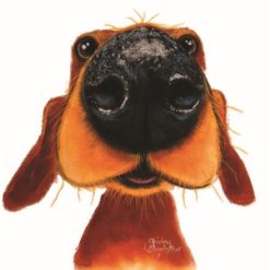 Nosey Nando Greeting Card, 15cm