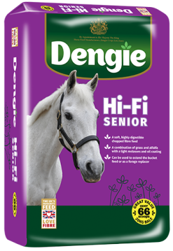 DENGIE HI FI SENIOR 18K