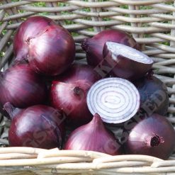 Onion Magnate F1