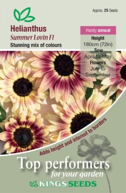 SUNFLOWER SUMMER LOVIN F1 SEEDS