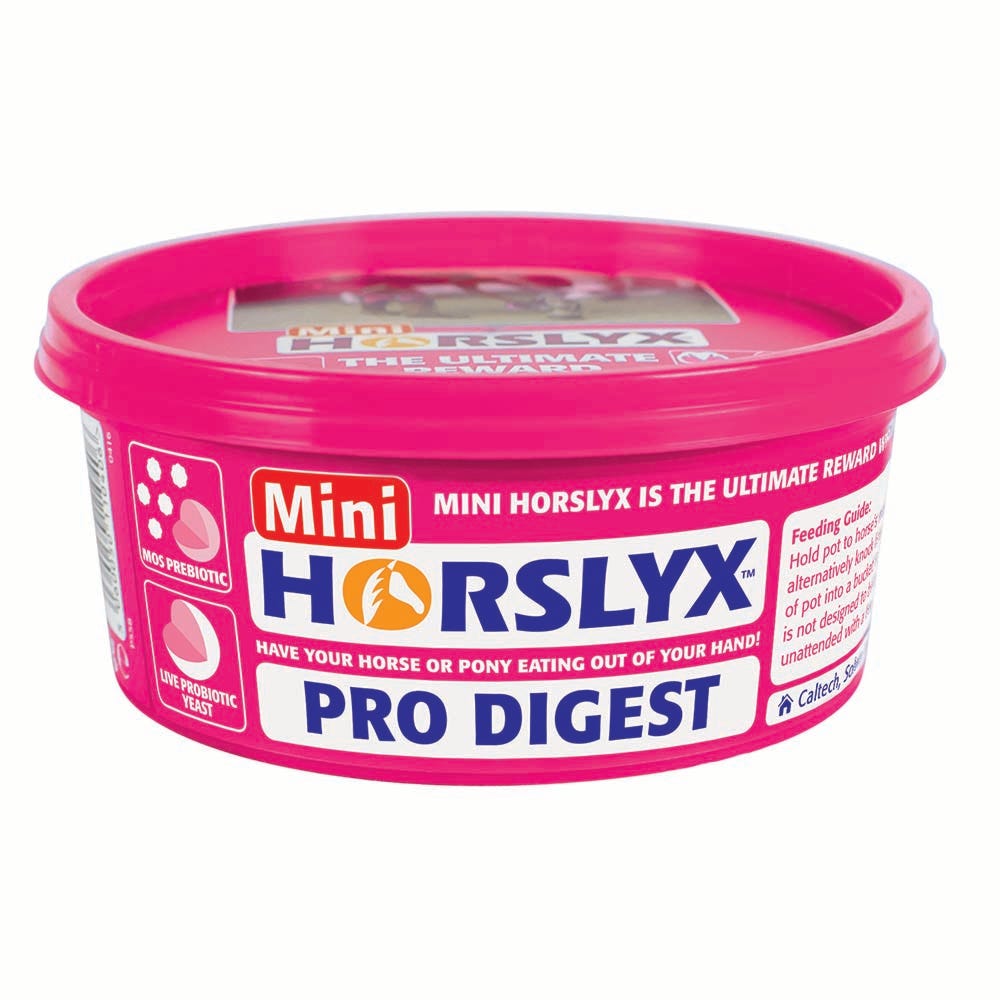 Horslyx Digestion - Mini - 650g