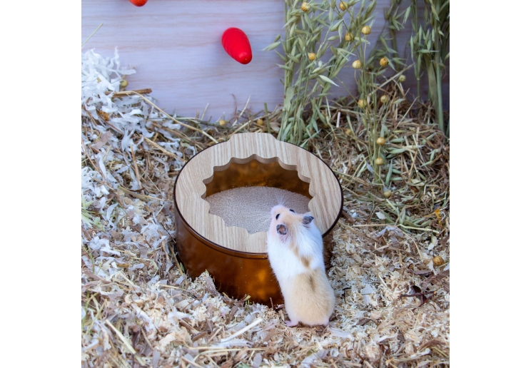 Small Animal Sand Bath & Dig Box