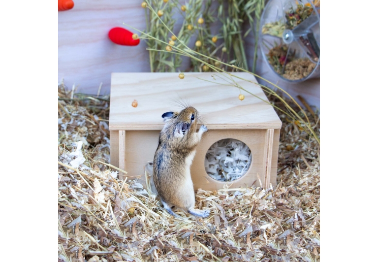 Small Animal Wooden Hide (Small - Flat Pack)