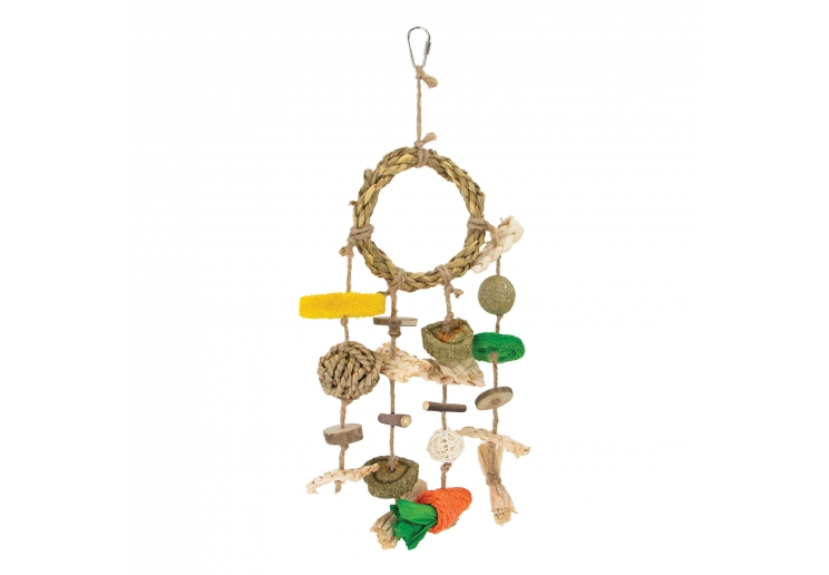 Small Animal Enrichment Dreamcatcher