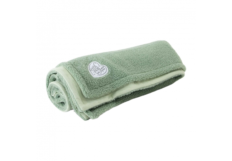 Small Bite Teddy Bear Blanket Sage