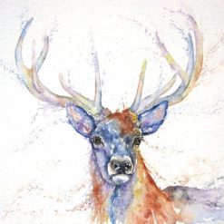 Monarch Stag Watercolour Greeting Card, 15cm