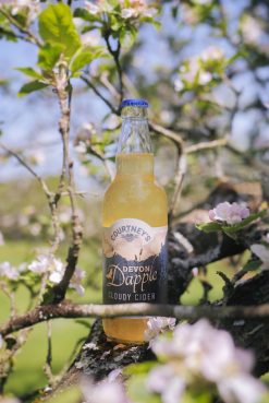 Devon Dapple Cider 500ml Bottle