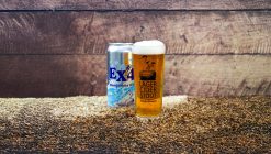 Exeter Brewery EX4 West Country IPA Can