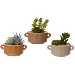 Artificial Succulent in Neutral Pot