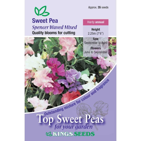 SWEET PEA SPENCER WAVED MIXED SEEDS