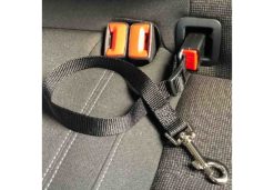 Alternative view of ISOfix Seat Belt