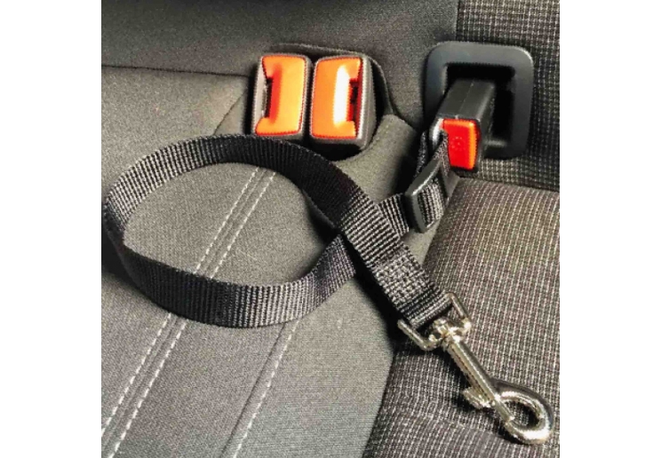 ISOfix Seat Belt - Image 2