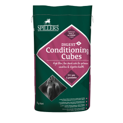 SPILLERS DIGEST + CONDITIONING CUBE