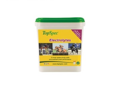 TOPSPEC ELECTROLYTES 1.5kg
