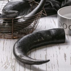 Hollings Jumbo Buffalo Horn Dog Treat - jumbo