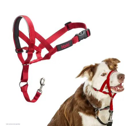 HALTI Headcollar Red Size 2 size 2
