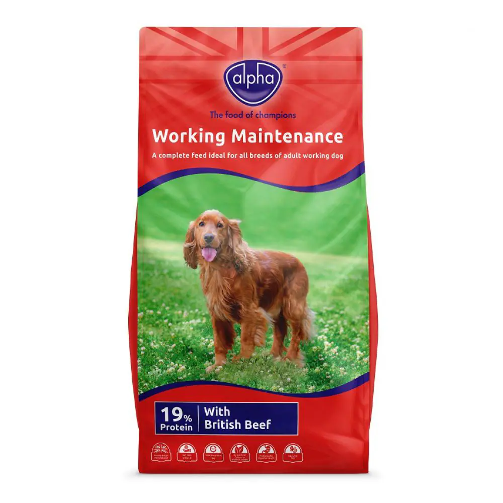 Alpha Adult Worker Maintenance - 15kg