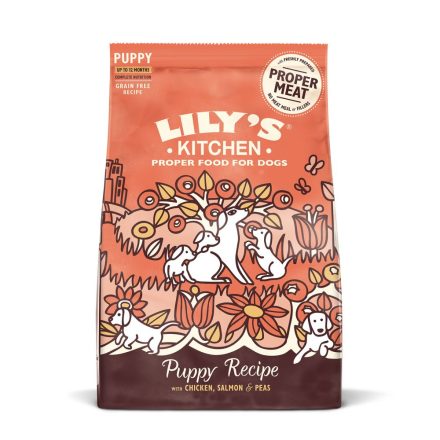 Lily's Kitchen Puppy Chicken & Salmon Various Sizes